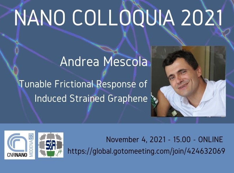 NANO COLLOQUIA 2021 S3 Seminar Andrea Mescola