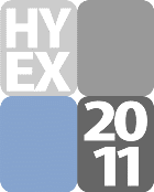 HYEX2011 International Workshop on Hybrid Excitations in Nano-Materials