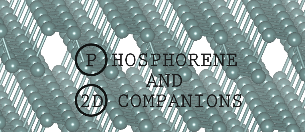 Phosphorene and 2D Companions workshop 08/05/2017