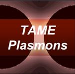 Tame Plasmons takes off.