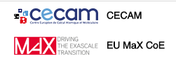 Cecam-MaX workshop on Excitonic insulator: New perspectives in long-range interacting systems
