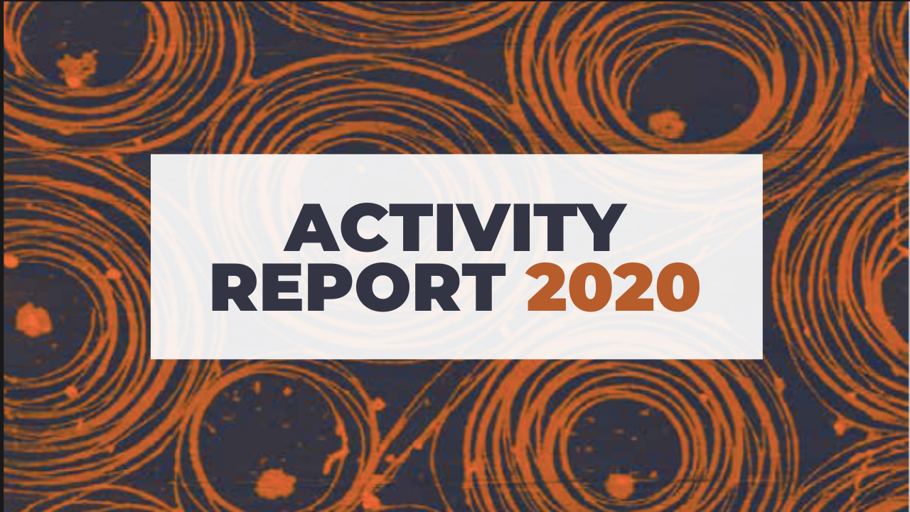 Activity Report 2020 is out!