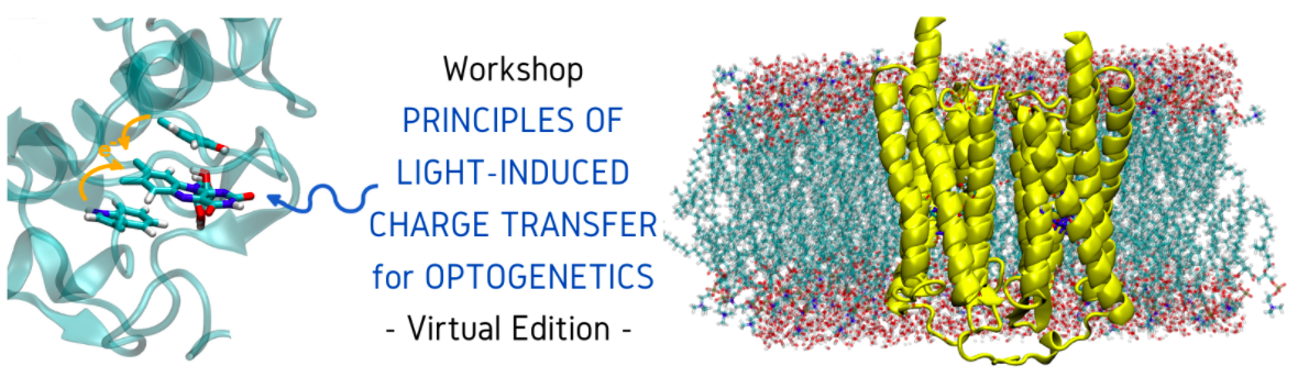 Principles of light-induced charge transfer for optogenetics workshop