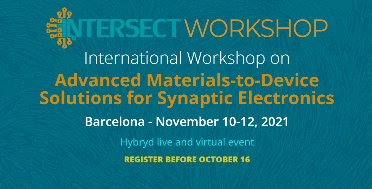 International Workshop on Advanced Materials-to-Device Solutions for Synaptic Electronics
